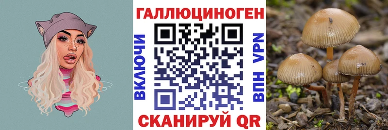 наркошоп  Тамбов  Псилоцибиновые грибы ЛСД 